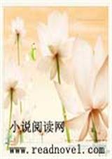 皇上别误会封面