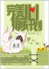 完美偷心计划封面