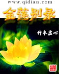 金莲别录封面