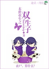 末世之双生子封面