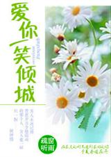 爱你一笑倾城封面