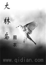大林鸟封面