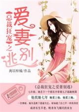 总裁狂宠之爱妻别逃封面
