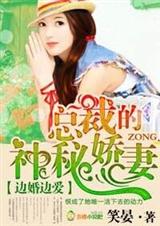 边婚边爱,总裁的神秘娇妻封面