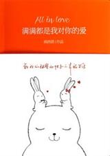 满满的都是我对你的爱封面