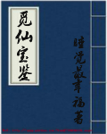 觅仙宝鉴封面