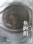 鱼的泪封面
