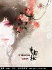 半面妆封面