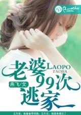 老婆99次逃家封面