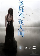 圣母不在人间封面