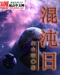混沌日封面