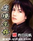 虚境生存封面