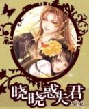 晓晓惑夫君 上部封面