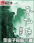 登仙诀封面