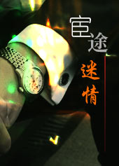 宦途封面