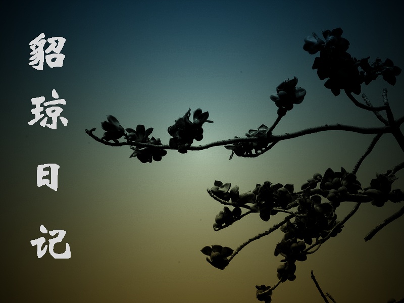 貂琼日记封面