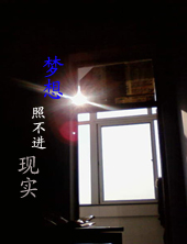 梦想照不进现实封面
