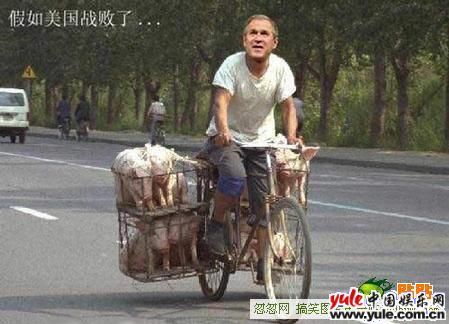 冒犯隐私封面