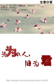 先为小人后为君(高干)封面