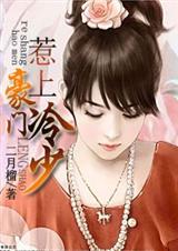 惹上豪门冷少封面