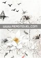 之流:公主小心腹黑殿封面