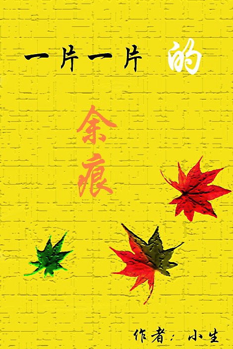 一片一片的余痕封面