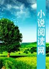 星幻大陆之圣灵天女封面
