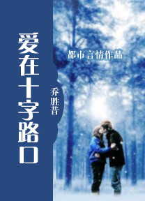 爱在十字路口封面