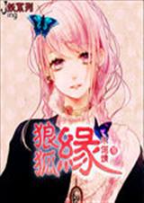狼狐缘封面