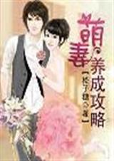 萌妻养成攻略封面