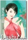 爱人非卖品封面