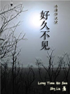 浪漫传说续好久不见封面