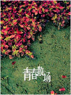遗落了花絮封面