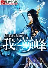我之巅峰封面