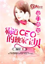 豪门盛宴:霸道ceo的独家宝贝封面