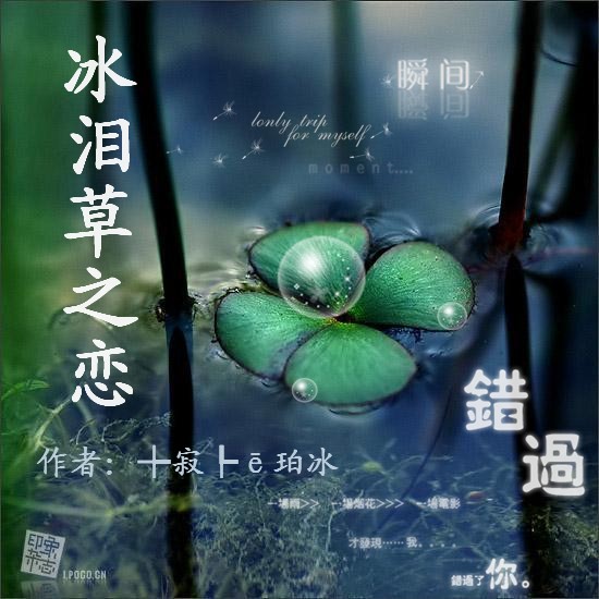 冰泪草之恋封面