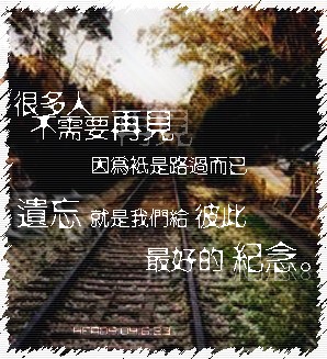 青春的花开花谢封面