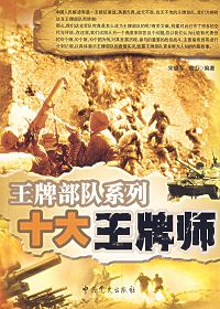 十大王牌师封面