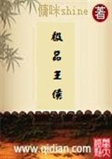 极品王侯封面