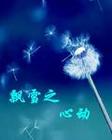 飘雪三部曲封面