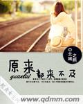 原来都来不及封面