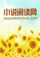 美人像支疯鸟封面