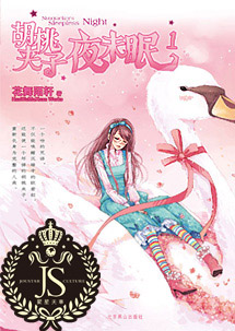 胡桃夹子夜未眠1封面