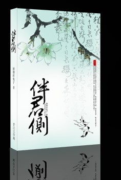 伴君侧封面
