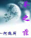 苍之茫封面