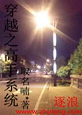 穿越之高手系统封面