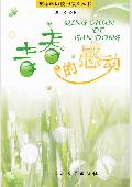 青春的感动封面