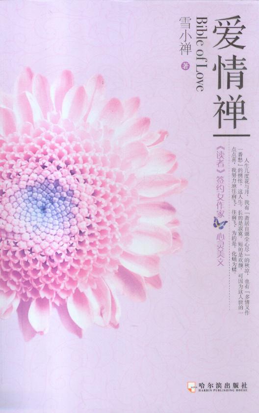 爱情禅封面