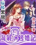 淘气公主逃婚记封面