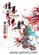锦善良缘封面